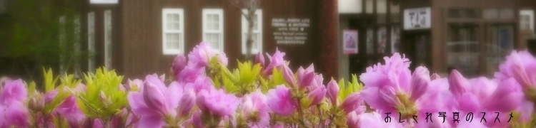 P1020242p.jpg